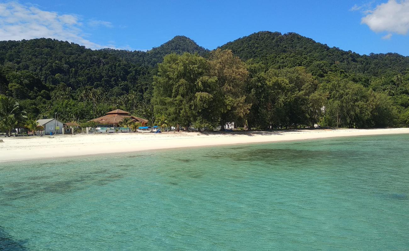 Tad Marine Resort beach'in fotoğrafı i̇nce beyaz kum yüzey ile