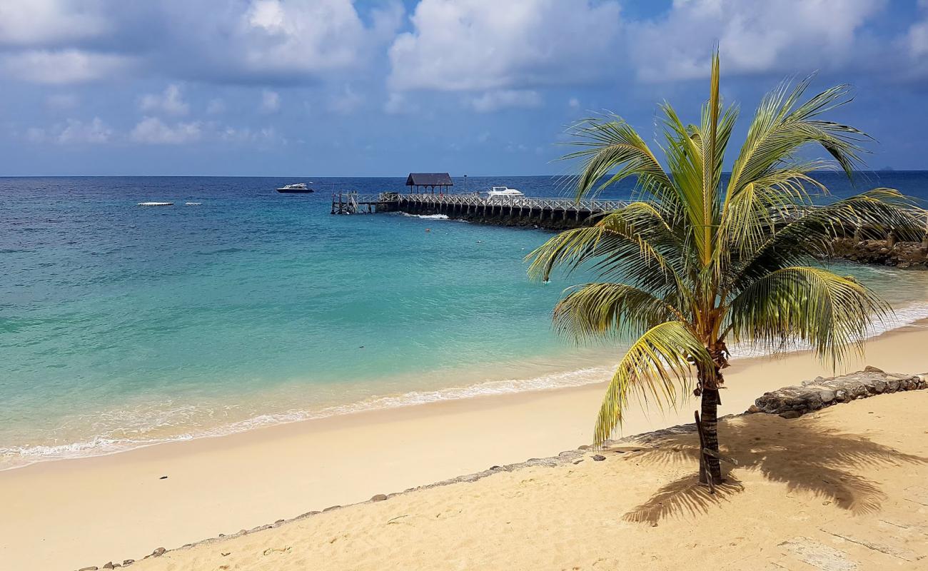 Tunamaya Beach'in fotoğrafı parlak kum yüzey ile