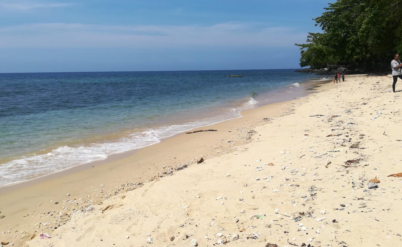 Kampung Nipah'in fotoğrafı parlak kum yüzey ile