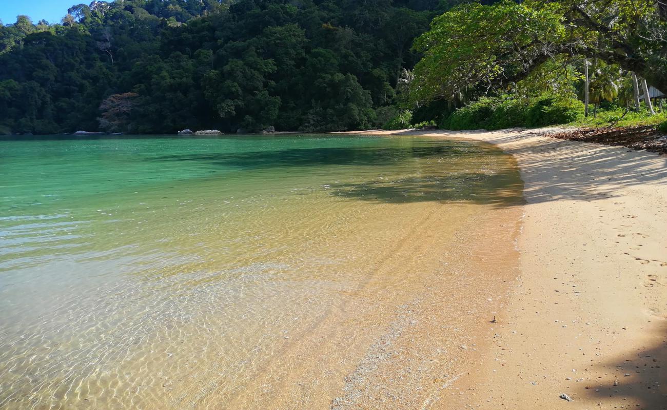 Monkey Bay'in fotoğrafı parlak kum yüzey ile