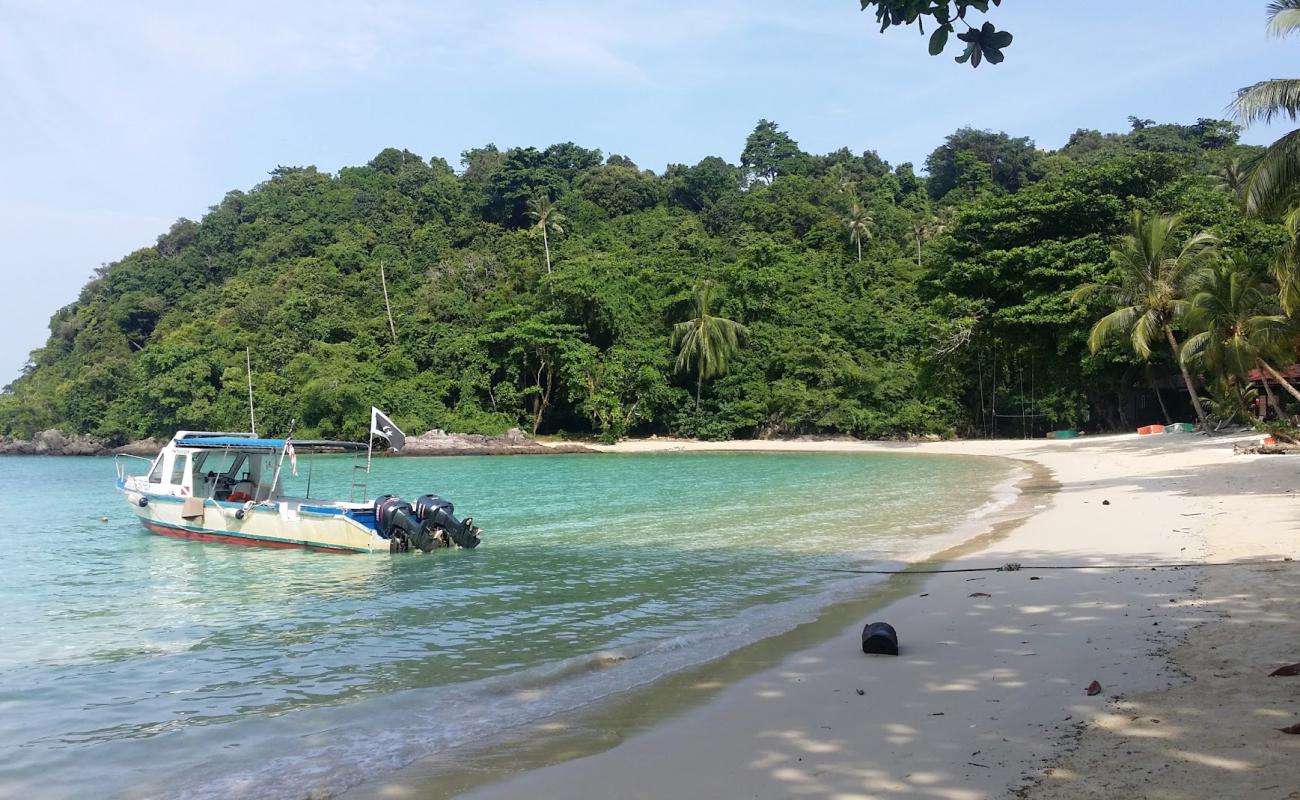 Pulau Tenggol'in fotoğrafı açık bej kum yüzey ile