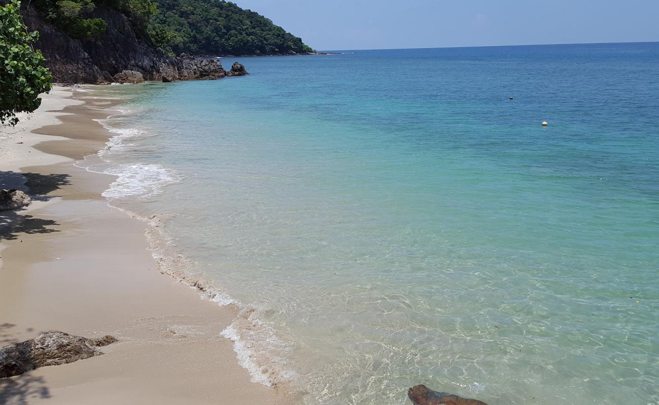 Kapas Turtle Valley'in fotoğrafı açık bej kum yüzey ile