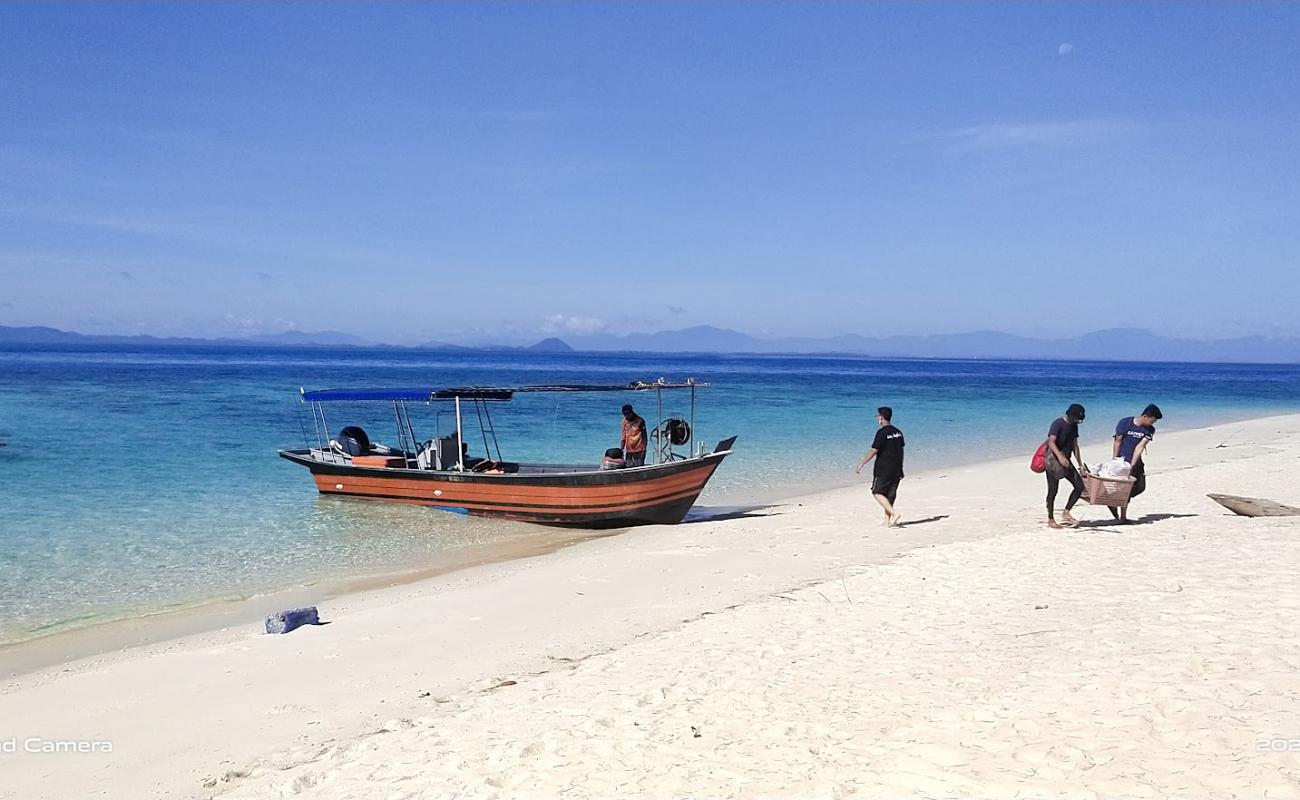 Bidong Bay'in fotoğrafı açık bej kum yüzey ile