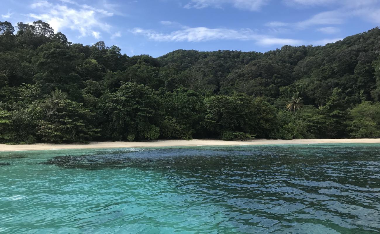 Sunset Beach'in fotoğrafı parlak kum yüzey ile