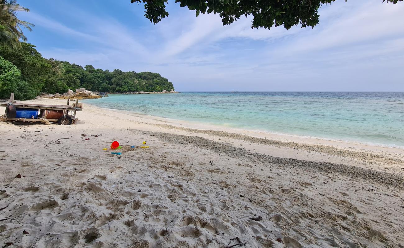 DCL Resort Beach'in fotoğrafı parlak kum yüzey ile