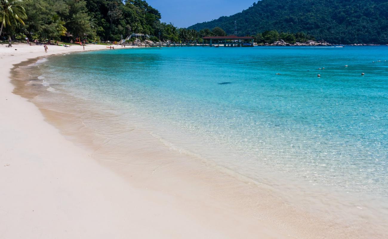 Teluk Pauh Beach'in fotoğrafı i̇nce bej kum yüzey ile