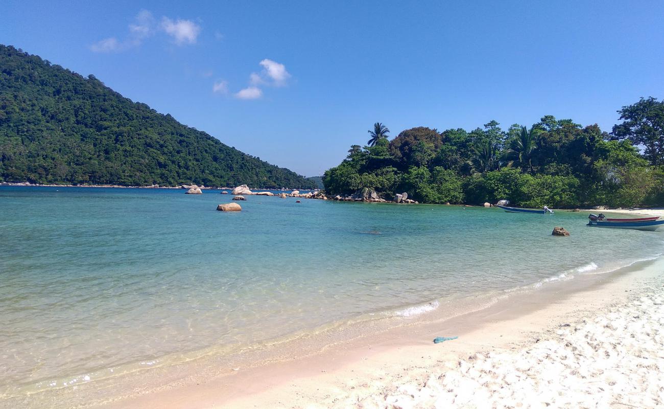 Turtle Bay Beach'in fotoğrafı açık bej kum yüzey ile