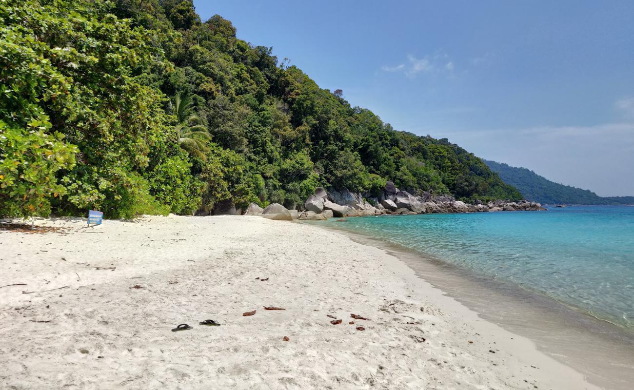 Deniz Kaplumbağası Sahili'in fotoğrafı parlak kum yüzey ile