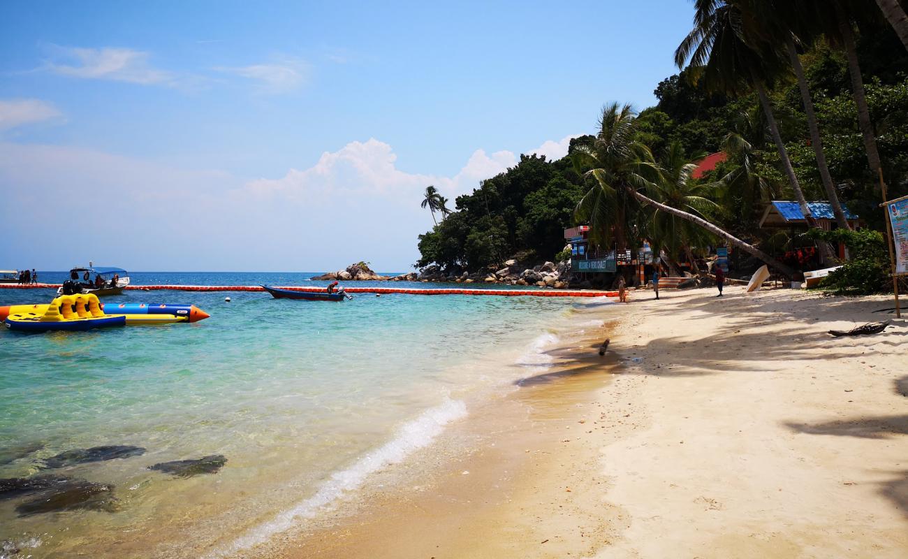 Perhentian Hazipah'in fotoğrafı parlak kum yüzey ile