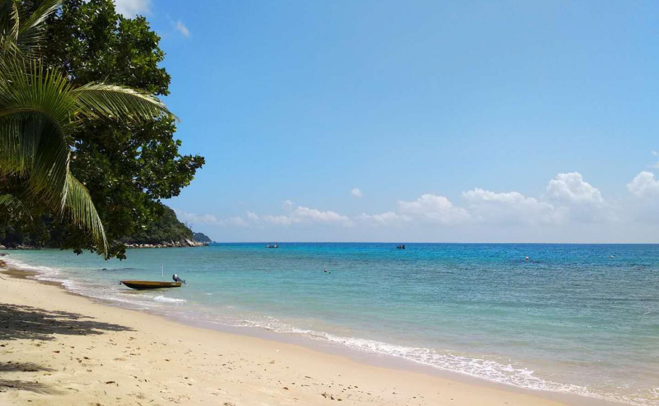 Petani Beach'in fotoğrafı açık bej kum yüzey ile