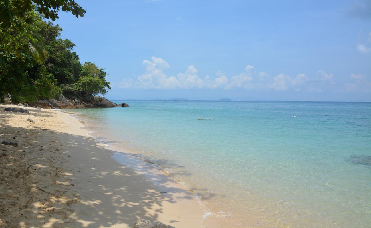 Rainforest Beach'in fotoğrafı parlak kum yüzey ile