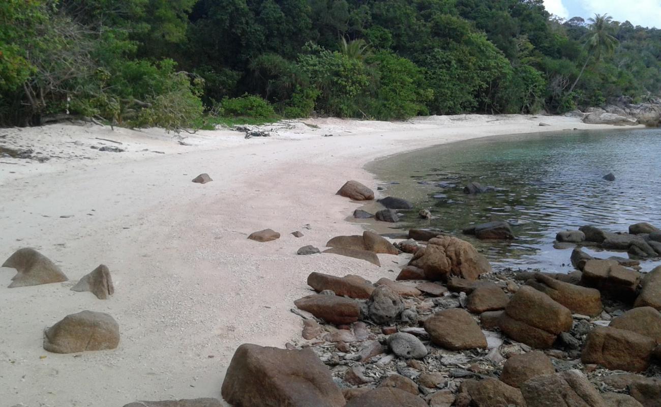 Landing Beach'in fotoğrafı açık bej kum yüzey ile