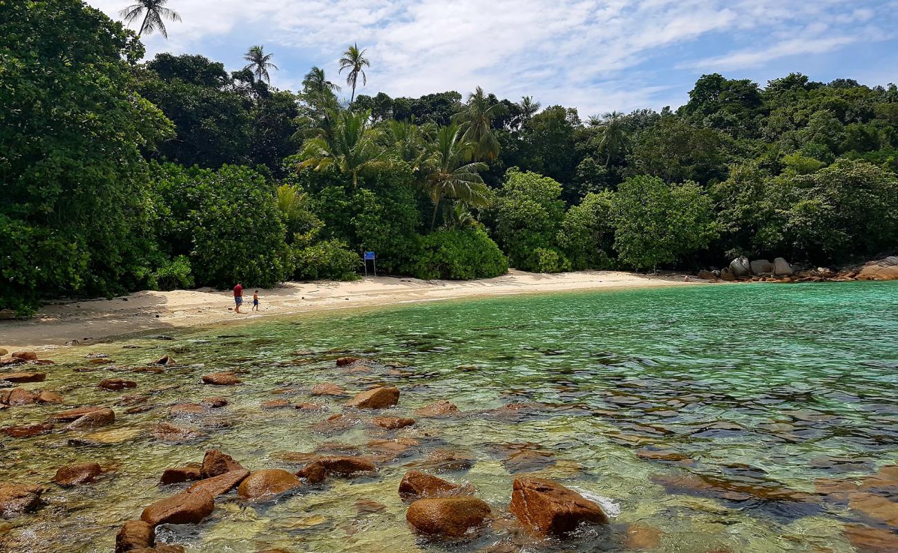 Adam and Eve Beach'in fotoğrafı açık bej kum yüzey ile