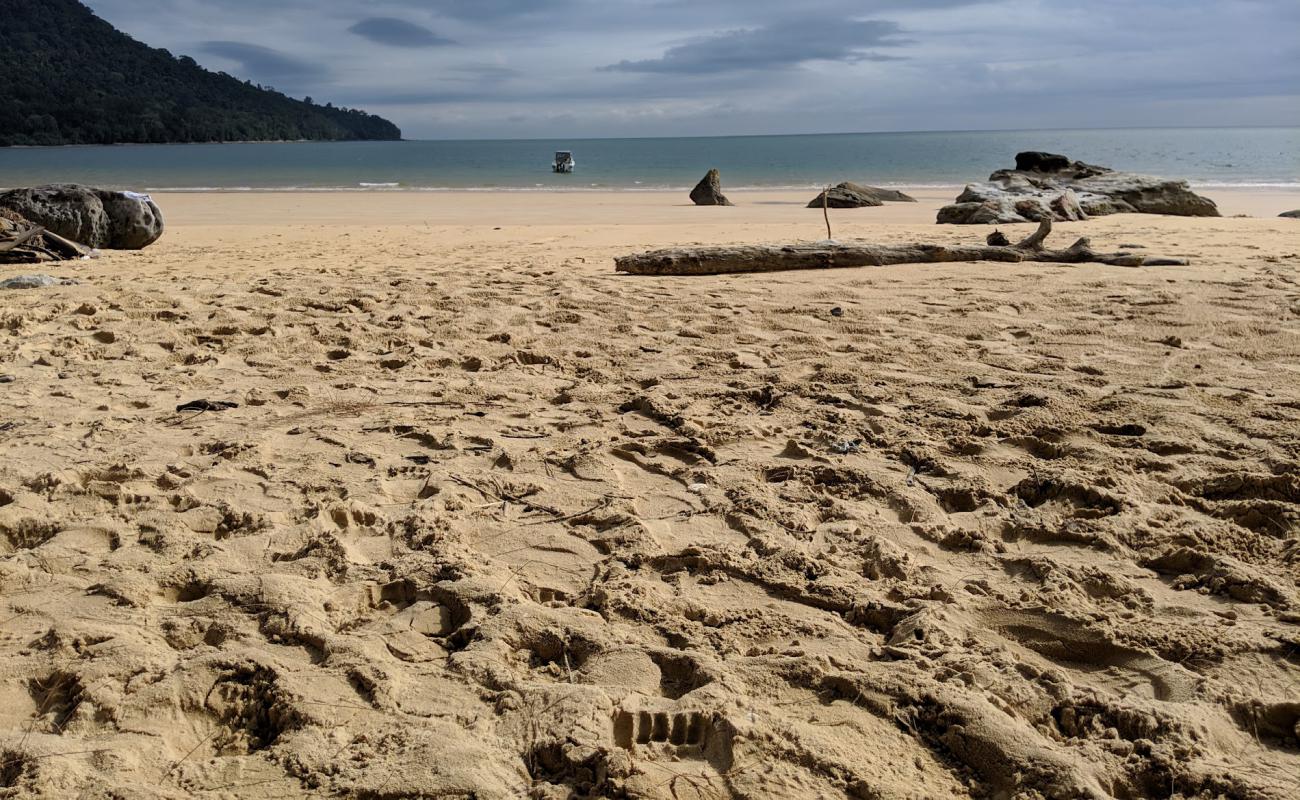 Telok Pasir Beach'in fotoğrafı parlak kum yüzey ile