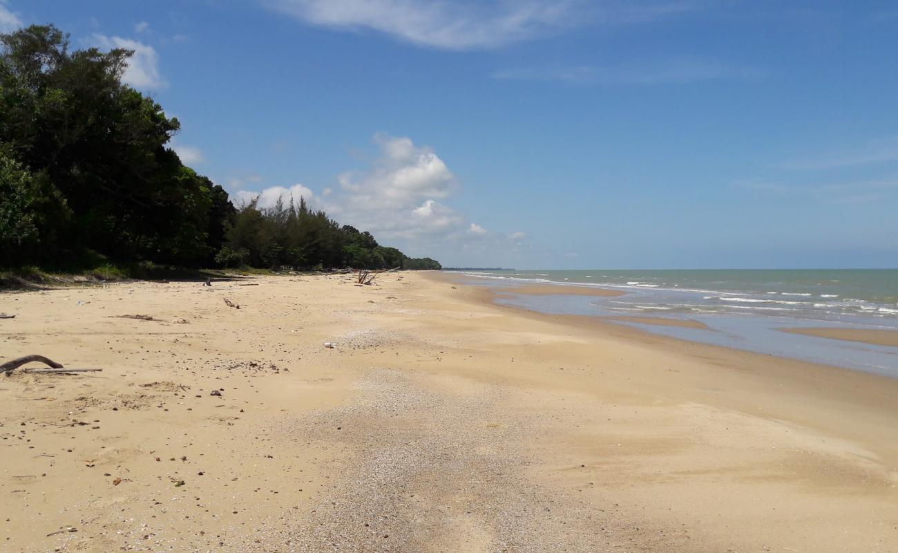 Peliau Beach'in fotoğrafı açık bej kum yüzey ile