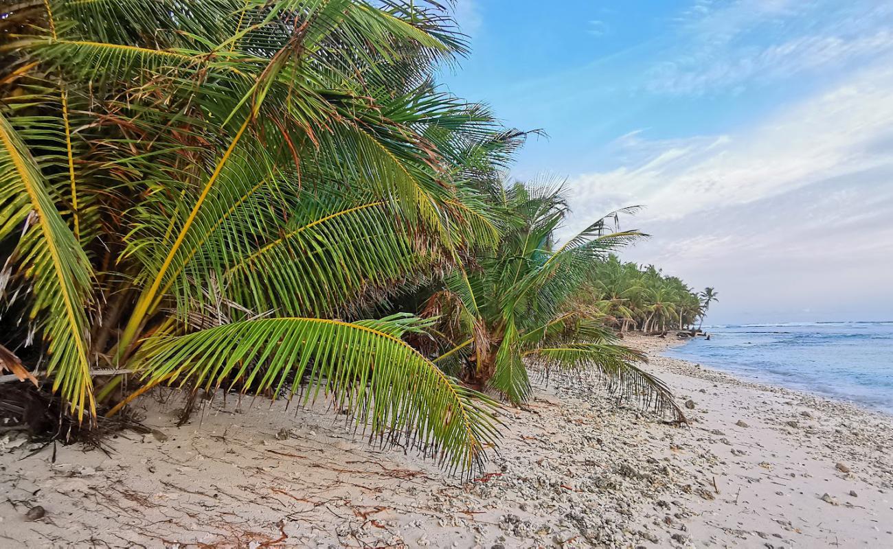 Nadallaa Beach'in fotoğrafı açık bej kum yüzey ile