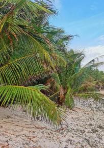 Thinadhoo