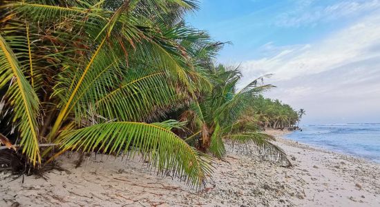 Nadallaa Beach