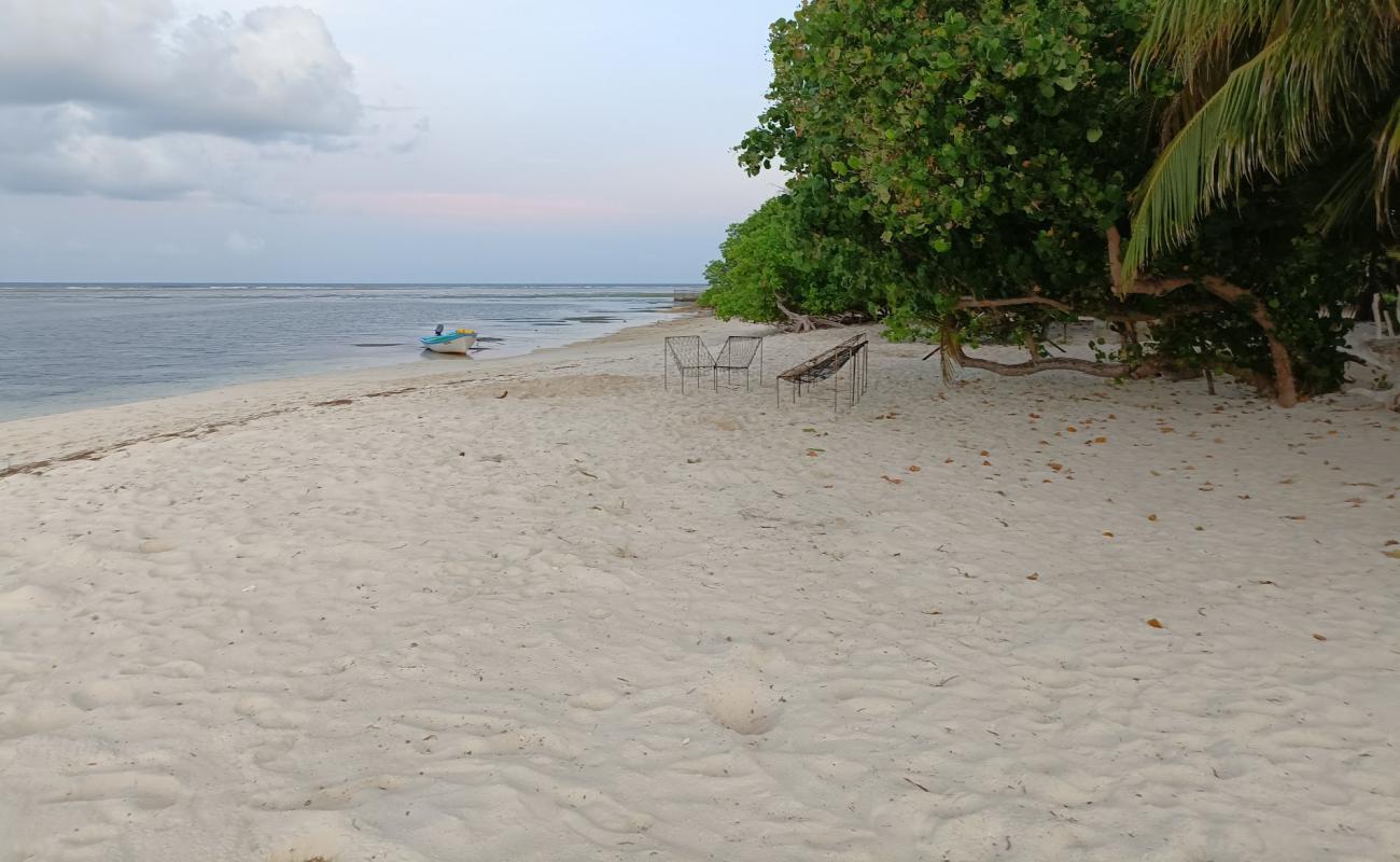 Gemanafushi North Beach'in fotoğrafı beyaz kum yüzey ile