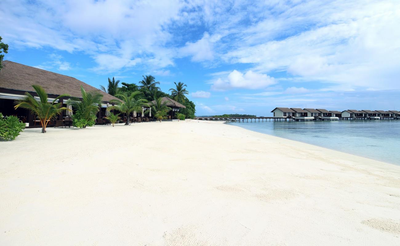 Falhumaafushi Resort Beach'in fotoğrafı i̇nce beyaz kum yüzey ile