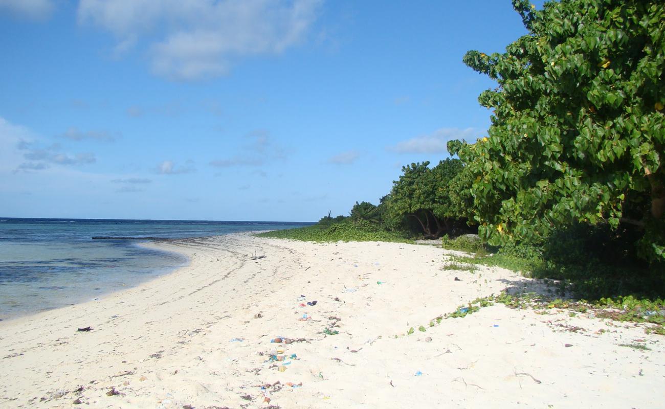 Valhagandaa Beach'in fotoğrafı açık bej kum yüzey ile