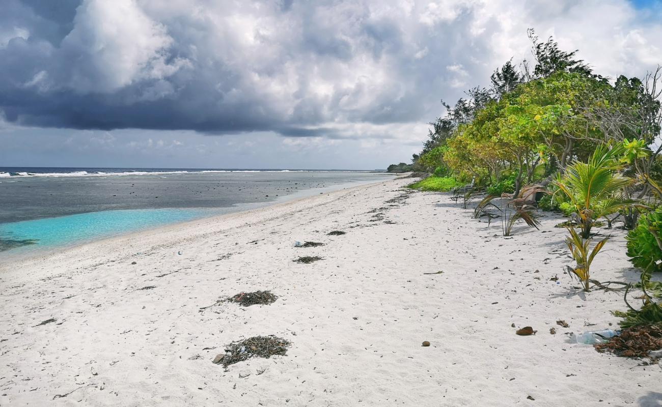 Villingili Beach'in fotoğrafı beyaz kum yüzey ile