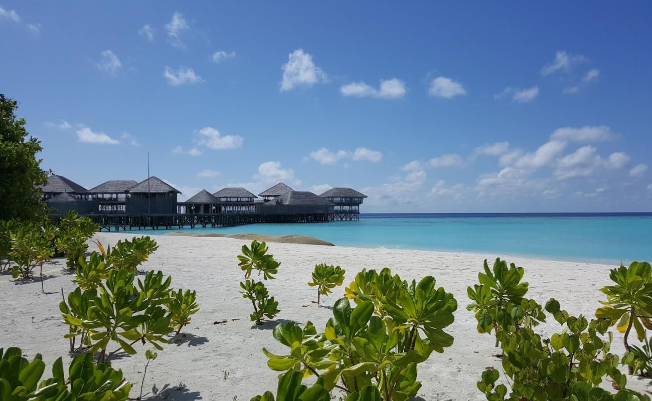 Altı Hisler Laamu Plajı'in fotoğrafı beyaz kum yüzey ile