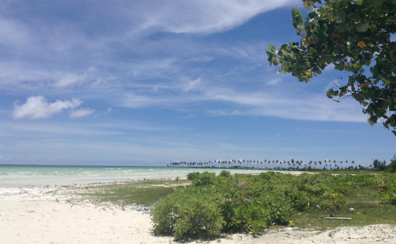 Kadhdhoo Beach'in fotoğrafı açık bej kum yüzey ile