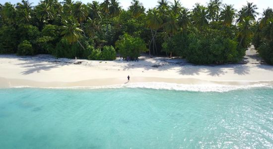 Rinbudhoo Beach