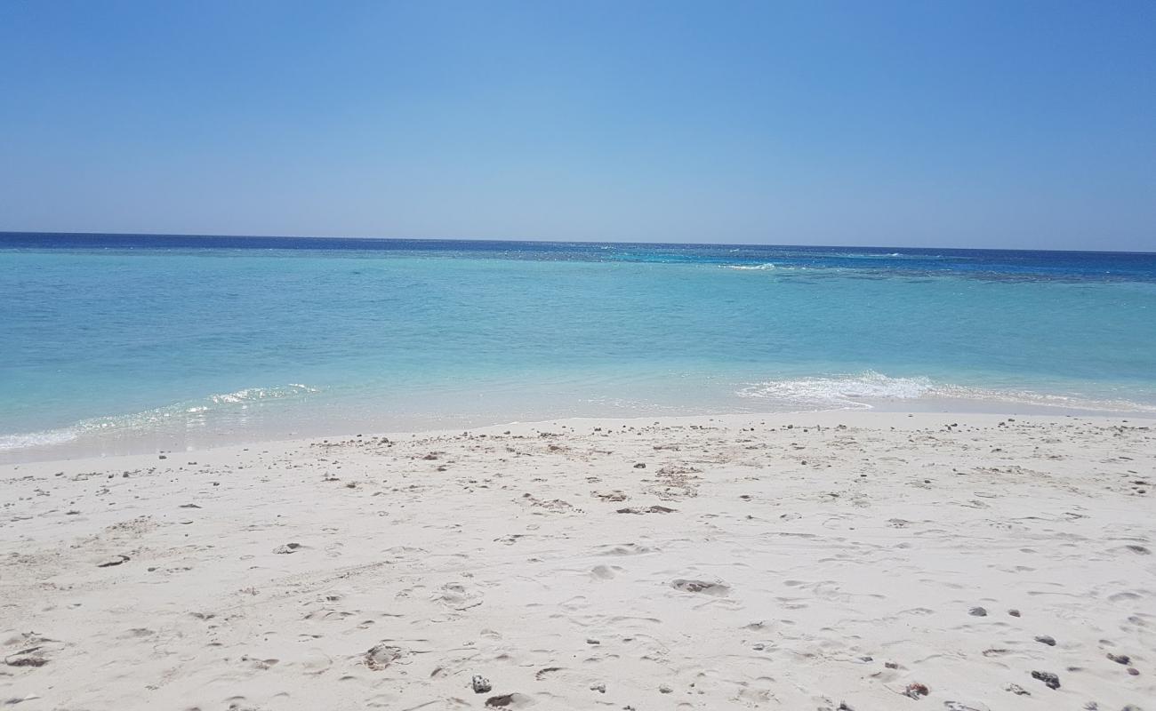 Magoodhoo Beach'in fotoğrafı açık bej kum yüzey ile