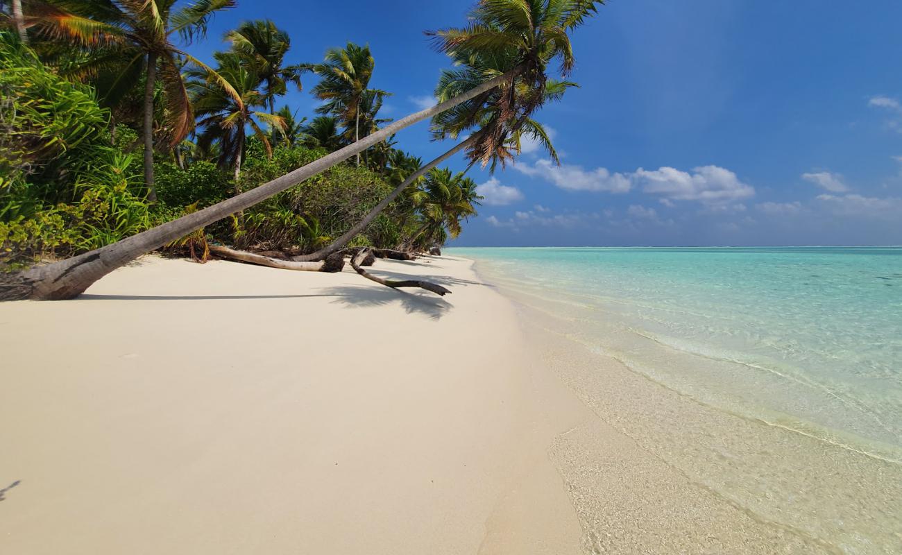 Keyodhoo Beach'in fotoğrafı parlak kum yüzey ile