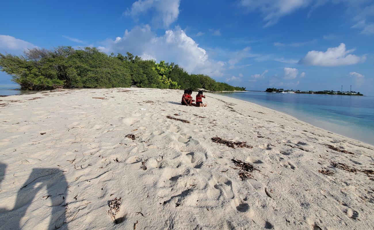 Kuda Finolhu Beach'in fotoğrafı i̇nce beyaz kum yüzey ile