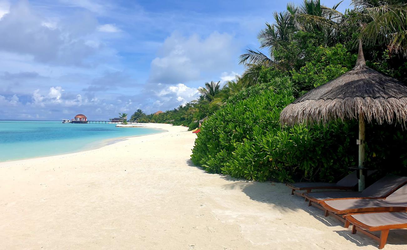 Maadhoo Plajı'in fotoğrafı beyaz ince kum yüzey ile