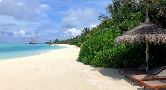 Maadhoo Plajı