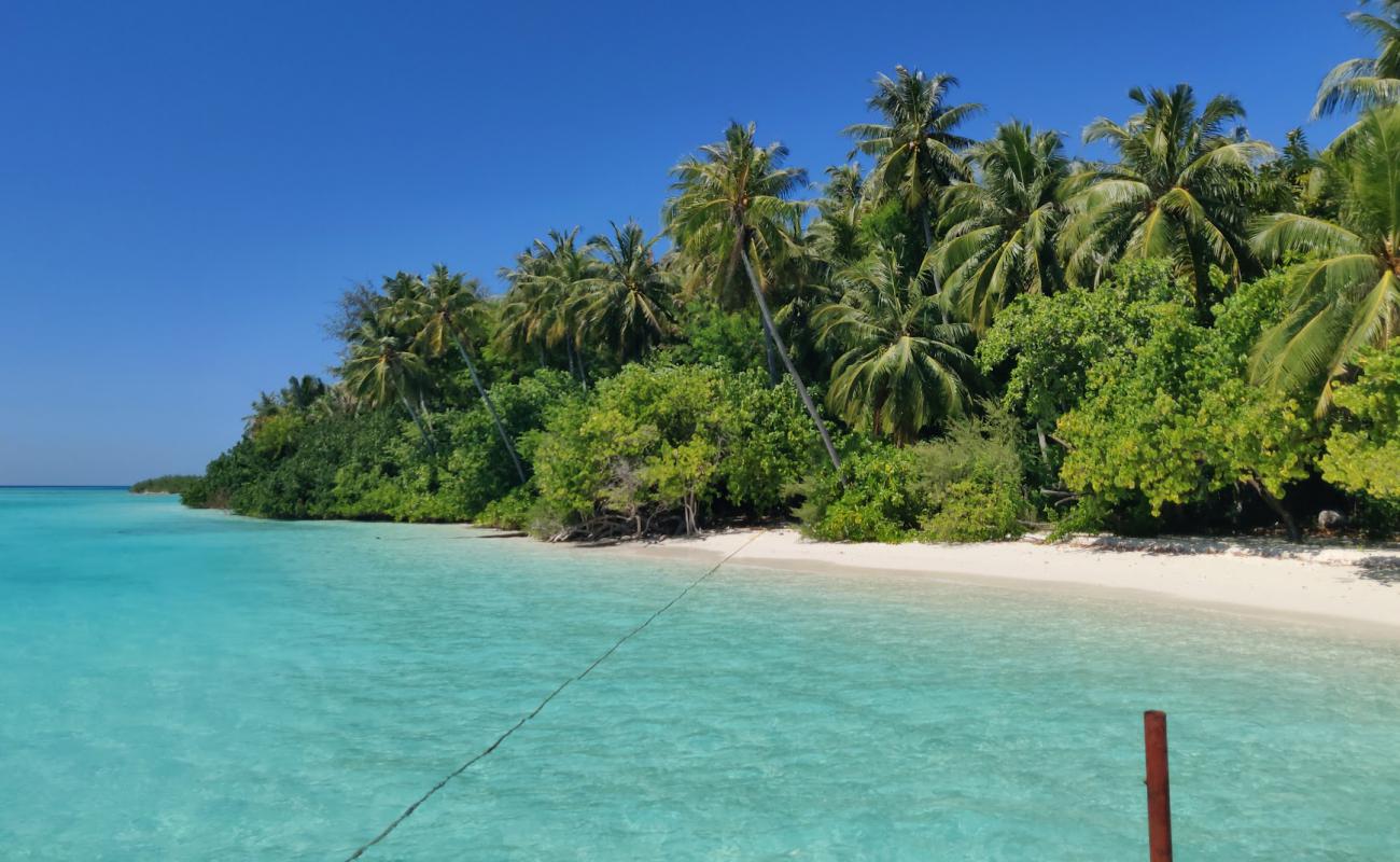 Villingillivaru Beach'in fotoğrafı beyaz kum yüzey ile