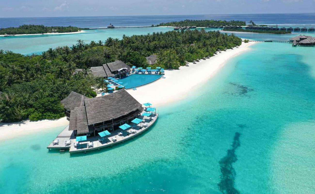 Anantara Dhigu Beach'in fotoğrafı beyaz kum yüzey ile