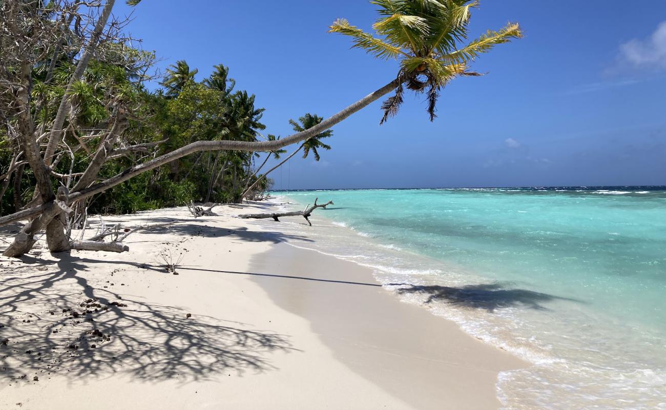 Omadhoo Beach'in fotoğrafı beyaz kum yüzey ile