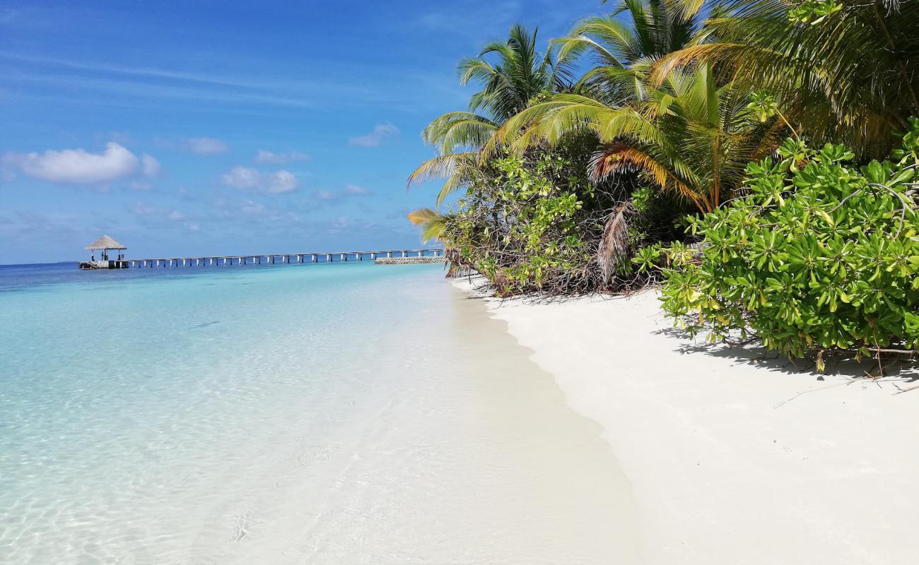 Velidhu Island Resort'in fotoğrafı beyaz kum yüzey ile