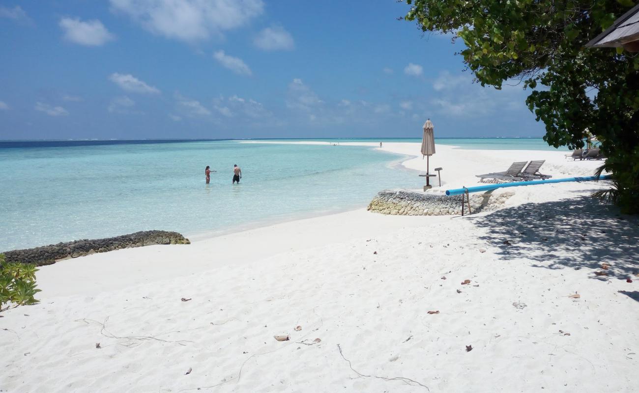 Gangehi Island Resort'in fotoğrafı beyaz kum yüzey ile