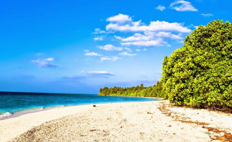 BBQ beach'in fotoğrafı beyaz kum yüzey ile