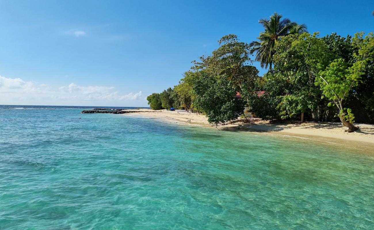 Rashdoo Beach'in fotoğrafı parlak kum yüzey ile