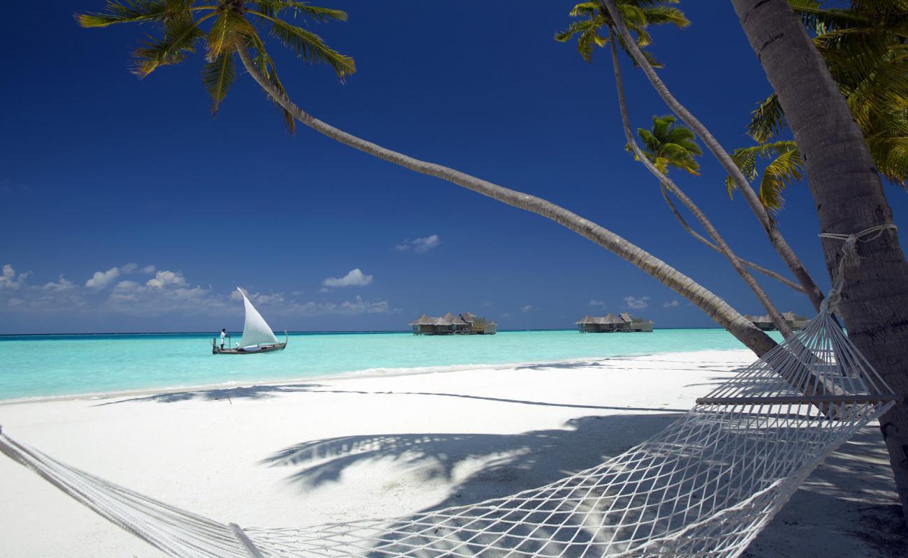 Gili Lankanfushi Resort'in fotoğrafı i̇nce beyaz kum yüzey ile