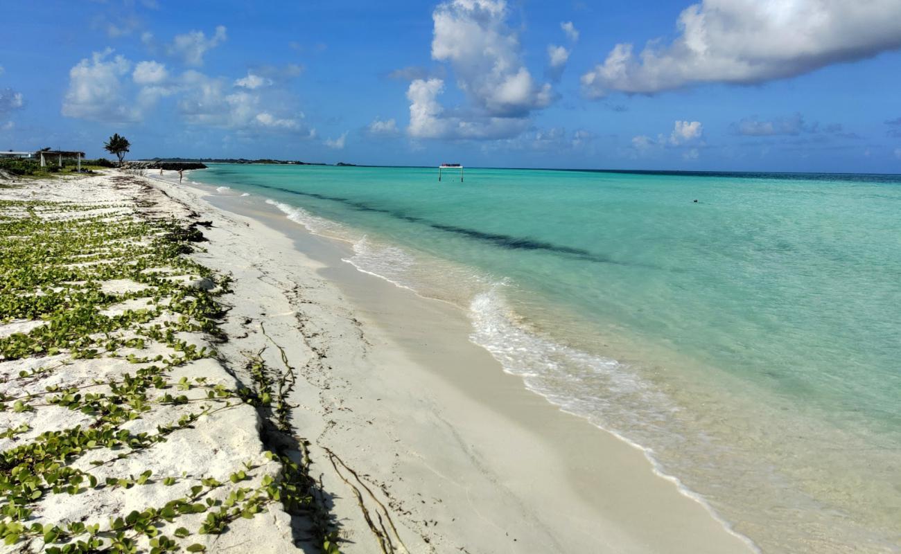 Dream Beach Thulusdhoo'in fotoğrafı beyaz kum yüzey ile