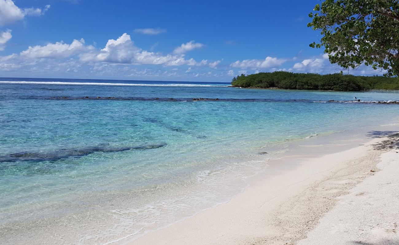 Canopus Retreat Thulusdhoo'in fotoğrafı beyaz kum yüzey ile