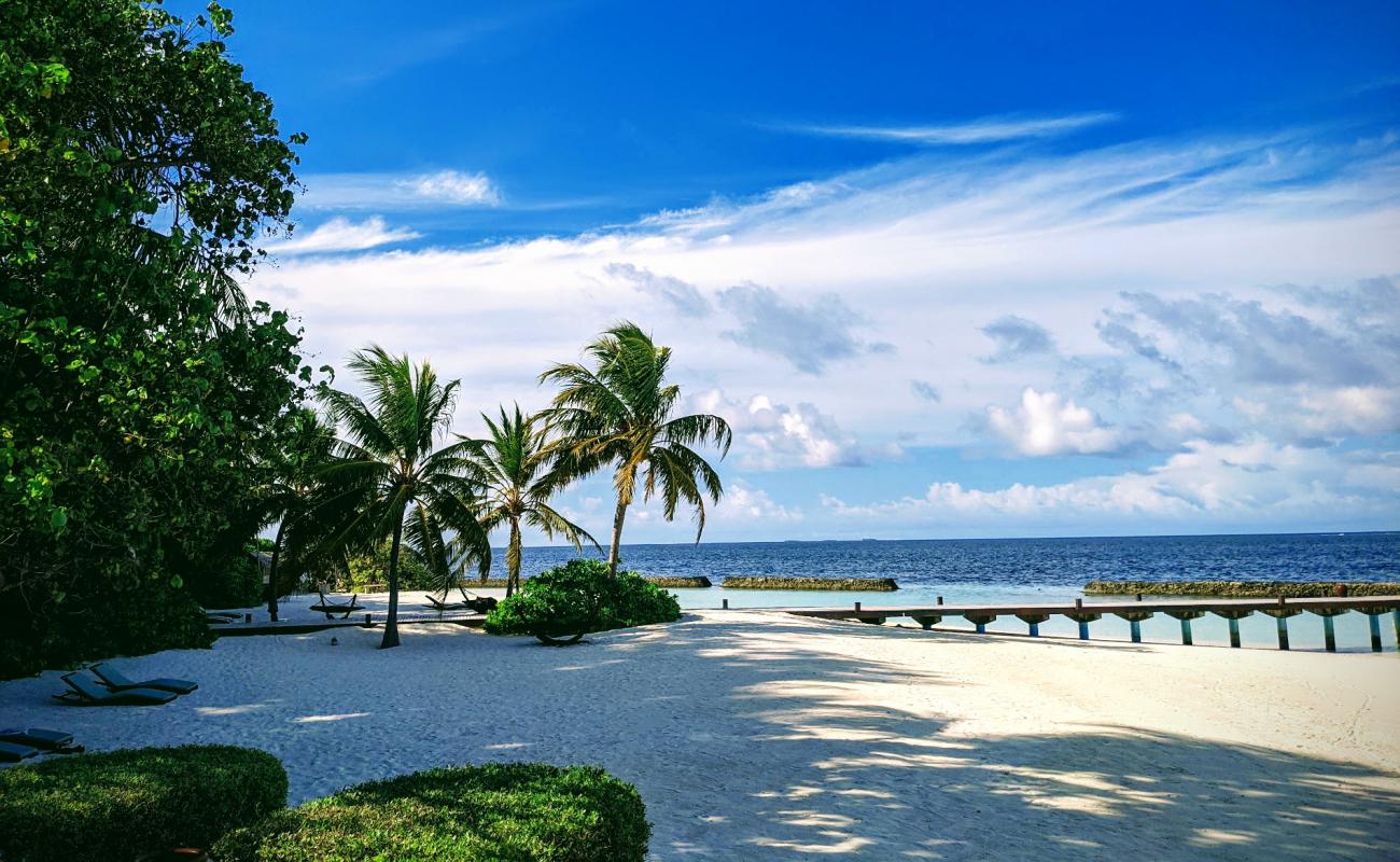 Coco Bodu Hithi Resort'in fotoğrafı beyaz kum yüzey ile