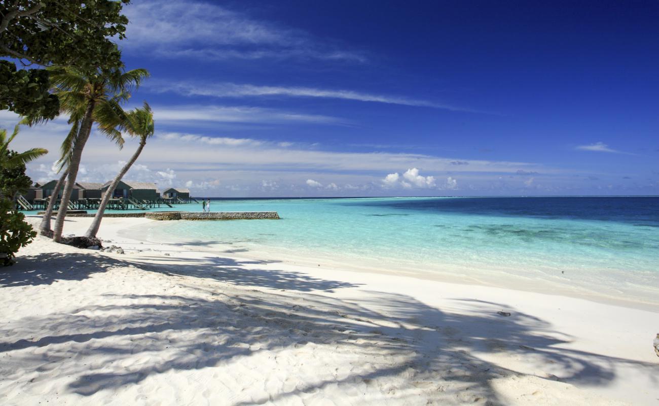 Centara Ras Resort Fushi Plajı'in fotoğrafı beyaz kum yüzey ile