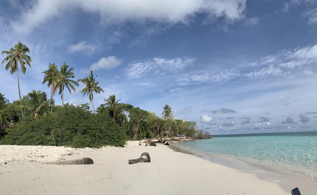 Goidhoo Beach'in fotoğrafı parlak kum yüzey ile