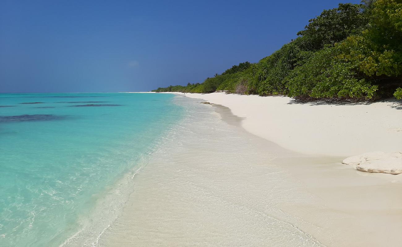 White Sandy Beach'in fotoğrafı beyaz kum yüzey ile