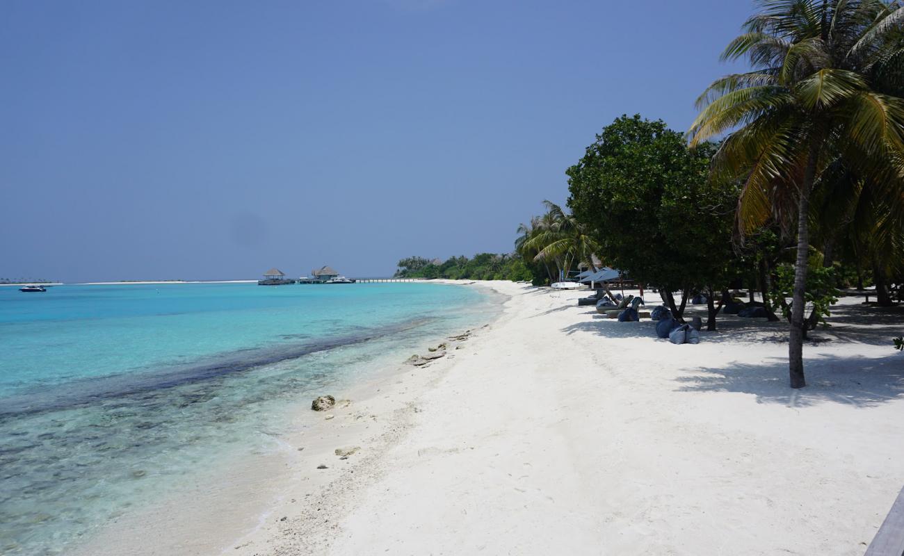 Kanifushi Plajı'in fotoğrafı beyaz kum yüzey ile