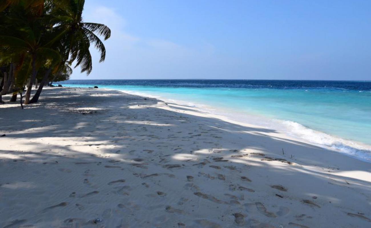 Guest Beach'in fotoğrafı beyaz kum yüzey ile